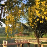 Hồ Tiên Sa – Nơi vẻ đẹp thiên nhiên ban tặng